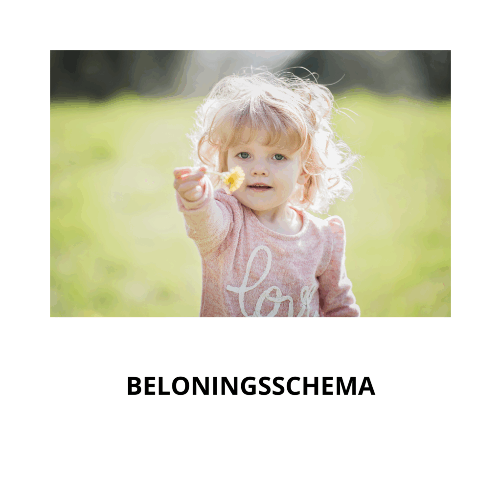 beloningsschema