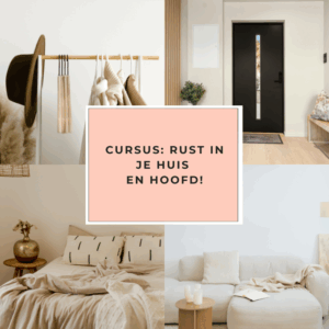 Opruimcursus