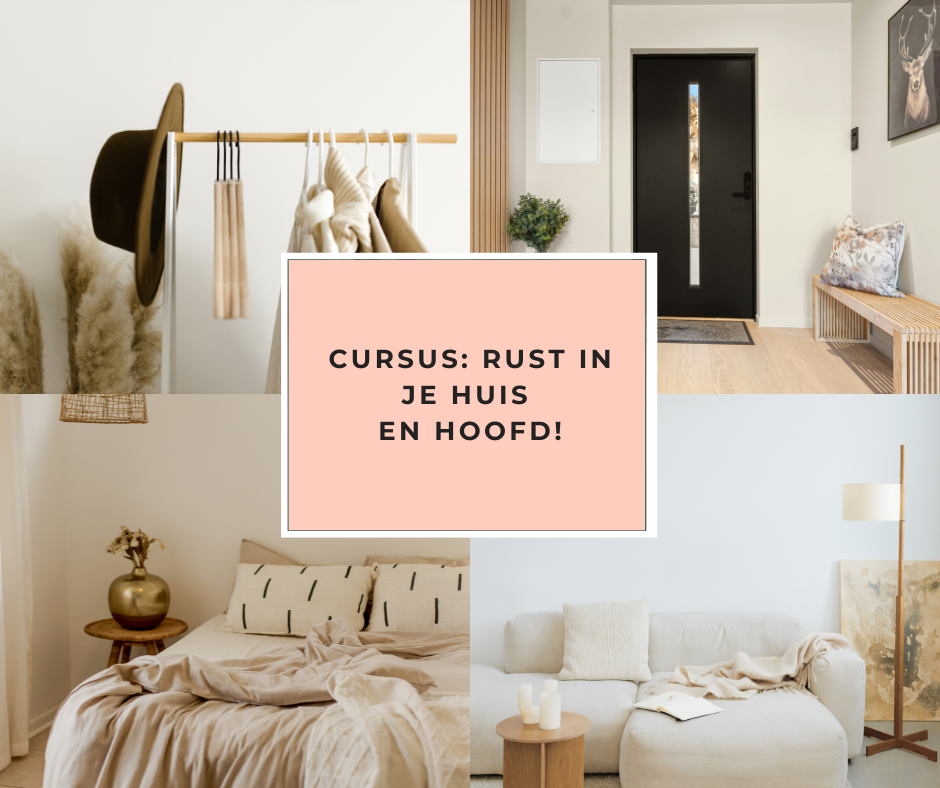 Opruimcursus