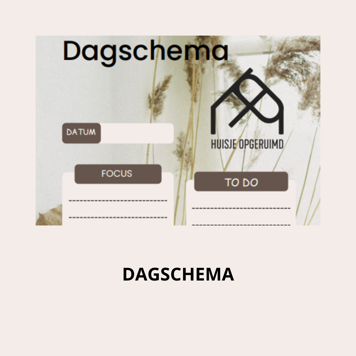 Dagschema